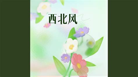 西北风 meaning